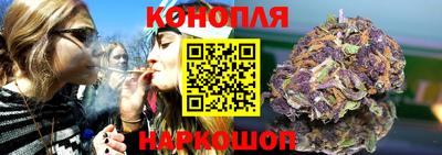 прущие грибы Тверь
