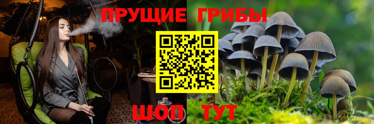 Галлюциногенные грибы Magic Shrooms Лабинск